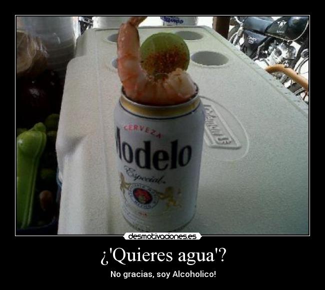 ¿Quieres agua? - No gracias, soy Alcoholico!