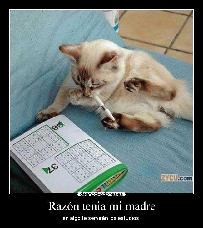 Razón tenia mi madre - en algo te servirán los estudios .