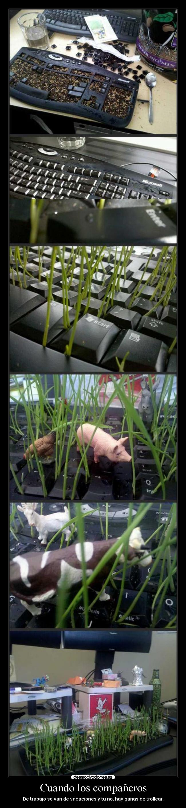 carteles ganas trollear cuando tus companeros trabajo van vacaciones desmotivaciones