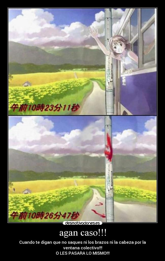 agan caso!!! - Cuando te digan que no saques ni los brazos ni la cabeza por la ventana colectivo!!!
O LES PASARA LO MISMO!!!