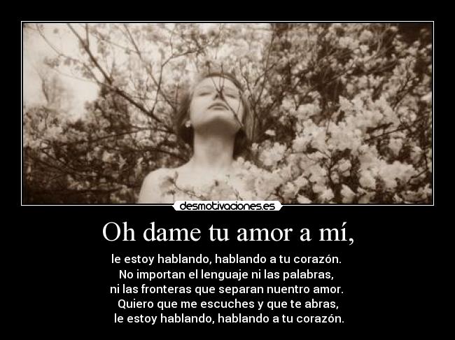 Oh dame tu amor a mí, - le estoy hablando, hablando a tu corazón. 
No importan el lenguaje ni las palabras, 
ni las fronteras que separan nuentro amor. 
Quiero que me escuches y que te abras,
 le estoy hablando, hablando a tu corazón.