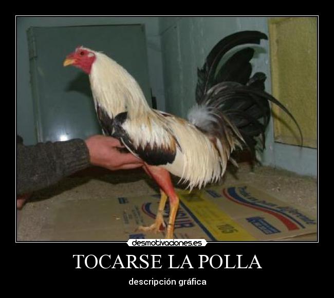 TOCARSE LA POLLA - descripción gráfica