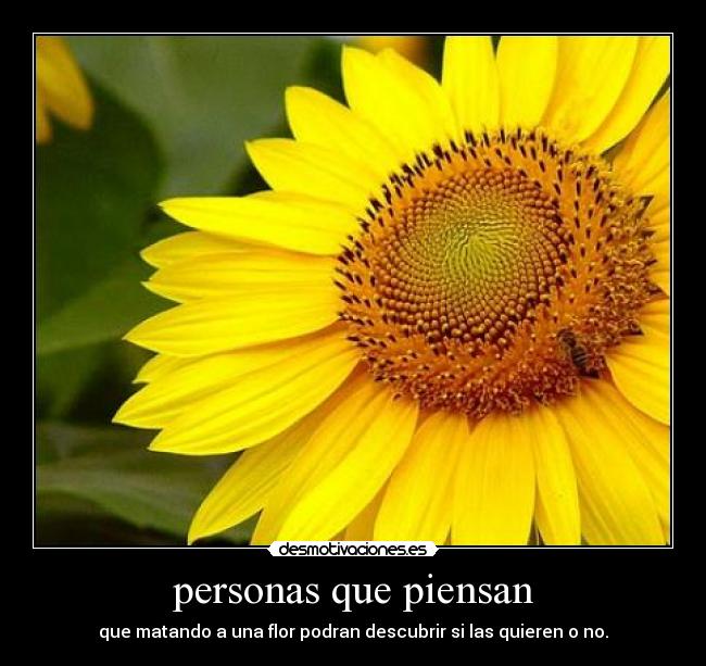 personas que piensan -