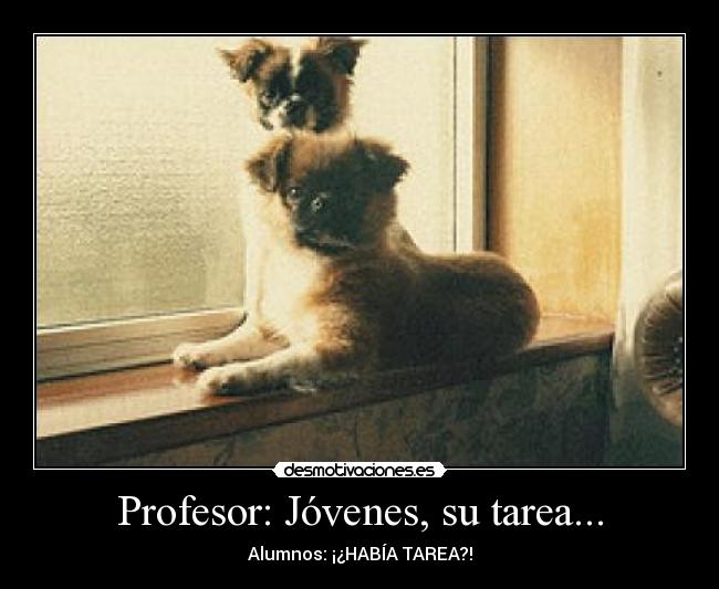 Profesor: Jóvenes, su tarea... - Alumnos: ¡¿HABÍA TAREA?!