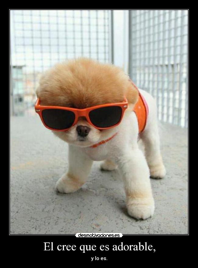 El cree que es adorable, - 