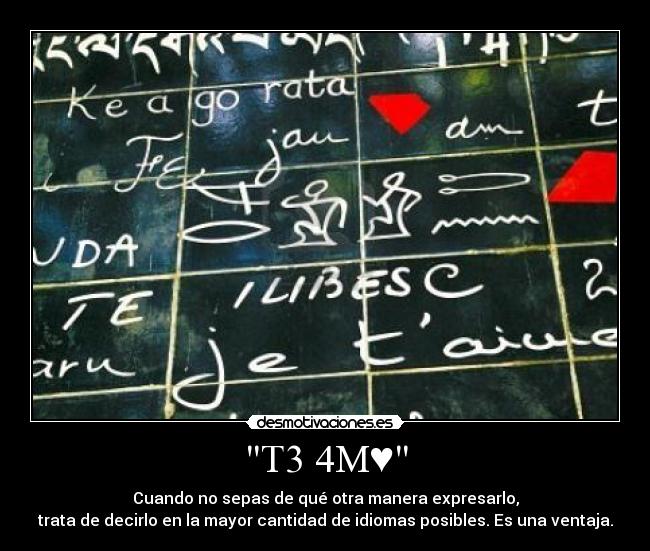 carteles amo idiomas bluemey ventaja decir expresar aime amo ich liebe dich desmotivaciones