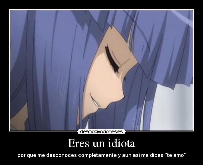 Eres un idiota - 