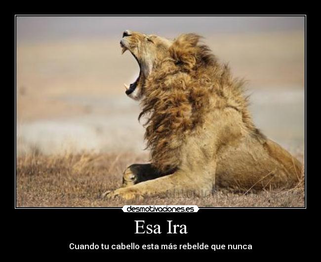 Esa Ira - Cuando tu cabello esta más rebelde que nunca