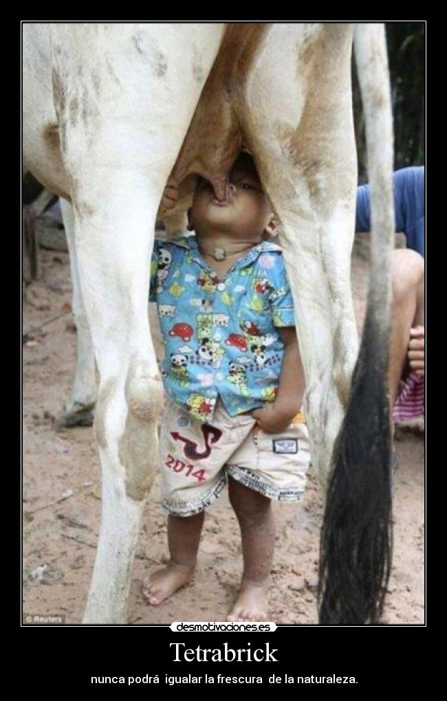 Tetrabrick - nunca podrá igualar la frescura de la naturaleza.