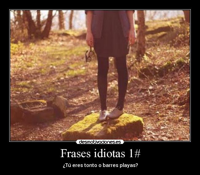Frases idiotas 1# - ¿Tú eres tonto o barres playas?
