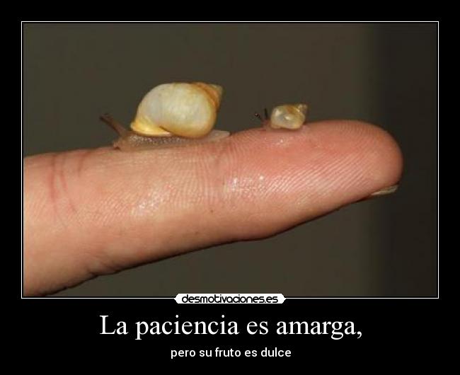 La paciencia es amarga, -