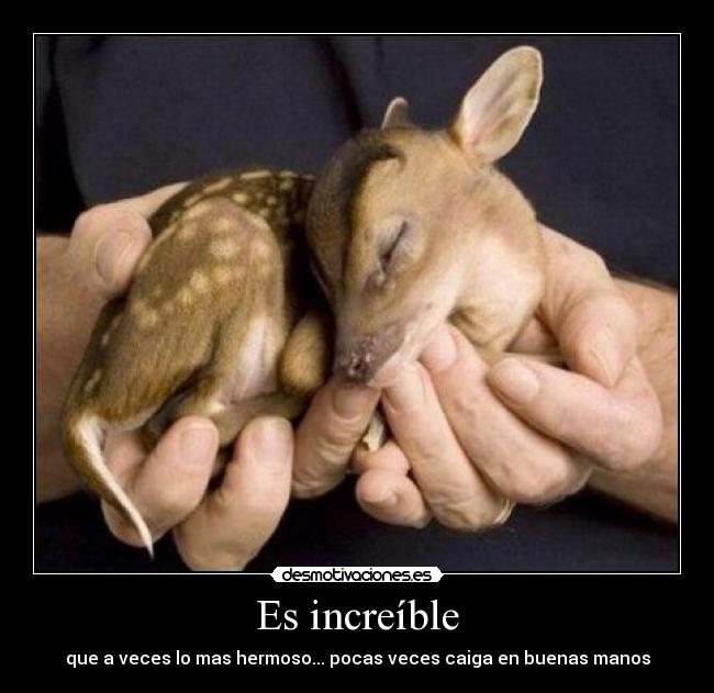 Es increíble - que a veces lo mas hermoso... pocas veces caiga en buenas manos