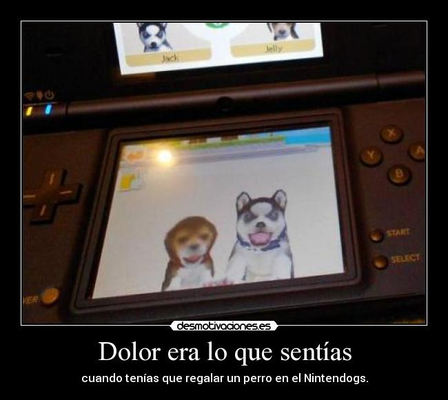 Dolor era lo que sentías -