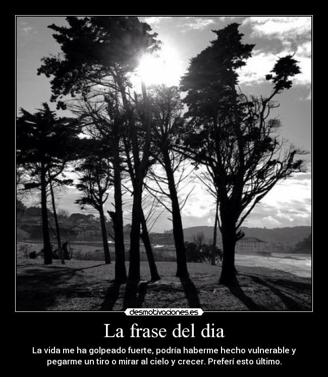 La frase del dia - 