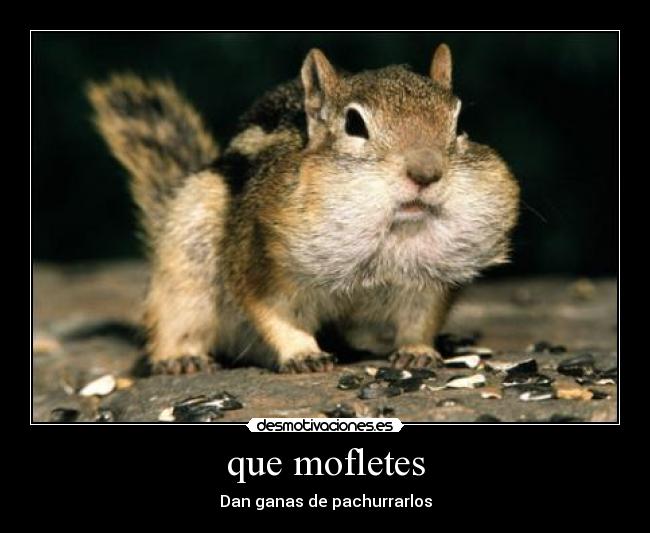 que mofletes -