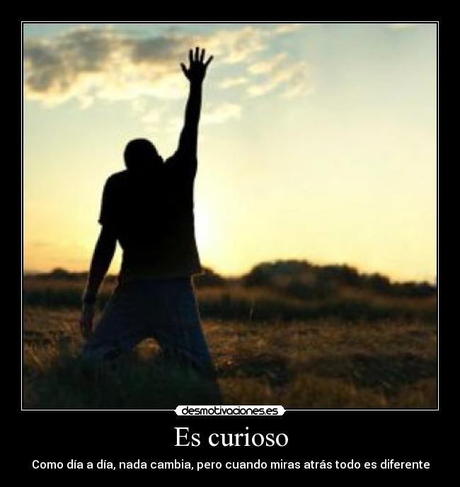 Es curioso - 