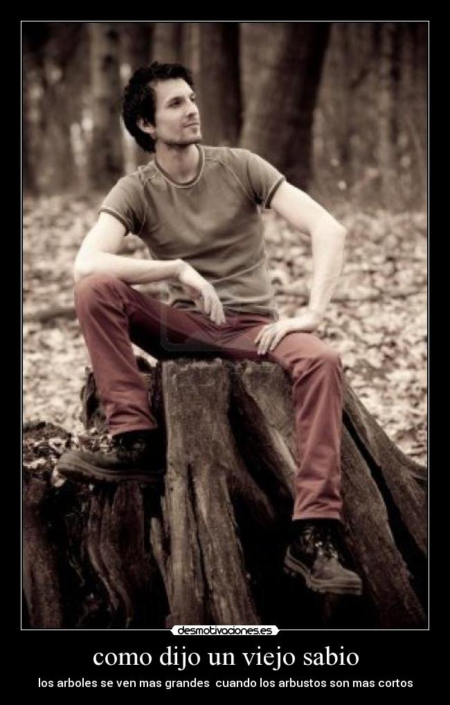 como dijo un viejo sabio - los arboles se ven mas grandes cuando los arbustos son mas cortos