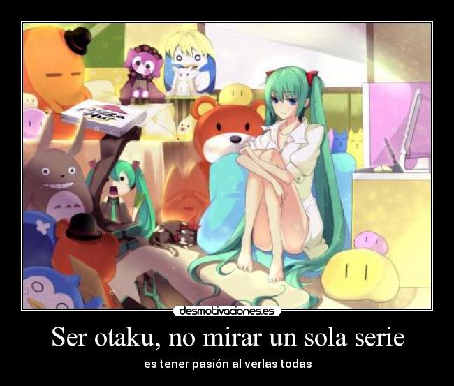 Ser otaku, no mirar un sola serie -