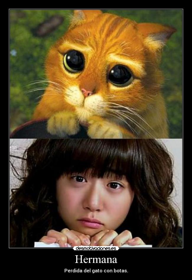 Hermana - Perdida del gato con botas.