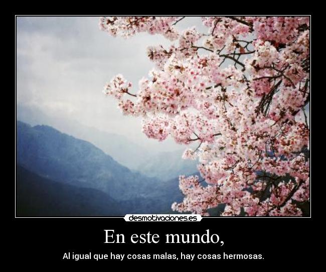 En este mundo, - Al igual que hay cosas malas, hay cosas hermosas.