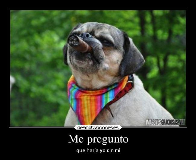 Me pregunto - 