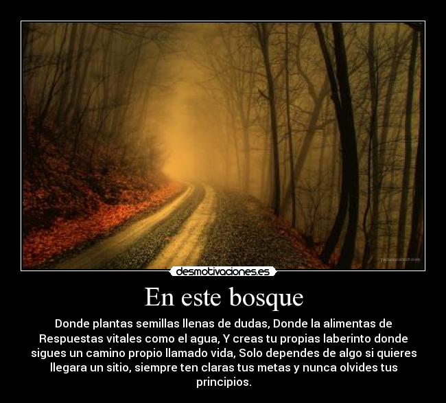 En este bosque - Donde plantas semillas llenas de dudas, Donde la alimentas de
Respuestas vitales como el agua, Y creas tu propias laberinto donde
sigues un camino propio llamado vida, Solo dependes de algo si quieres
llegara un sitio, siempre ten claras tus metas y nunca olvides tus
principios.