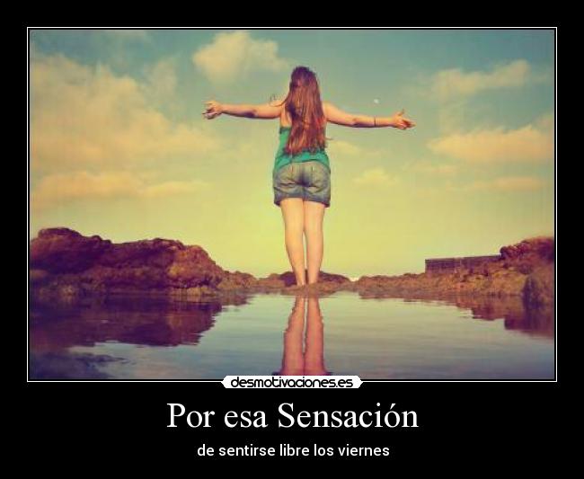 carteles propia viernes libertad sensacion desmotivaciones