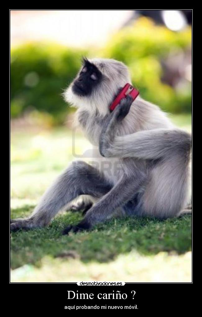 Dime cariño ? - aquí probando mi nuevo móvil.