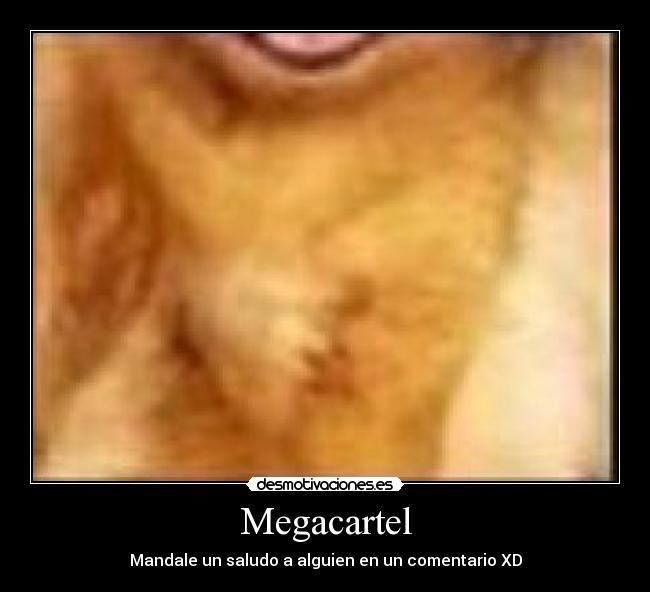 Megacartel - Mandale un saludo a alguien en un comentario XD