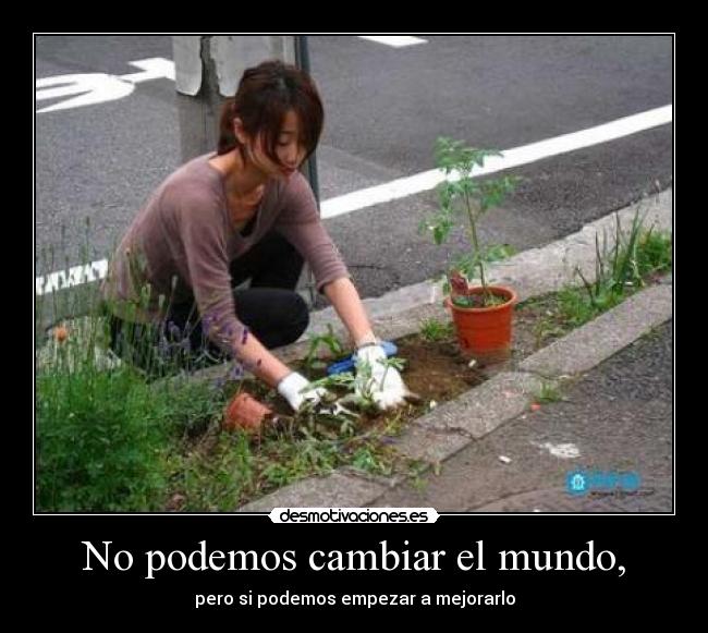 No podemos cambiar el mundo, -