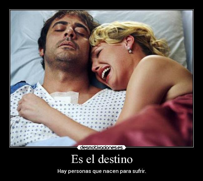 carteles destino anatomia grey desmotivaciones