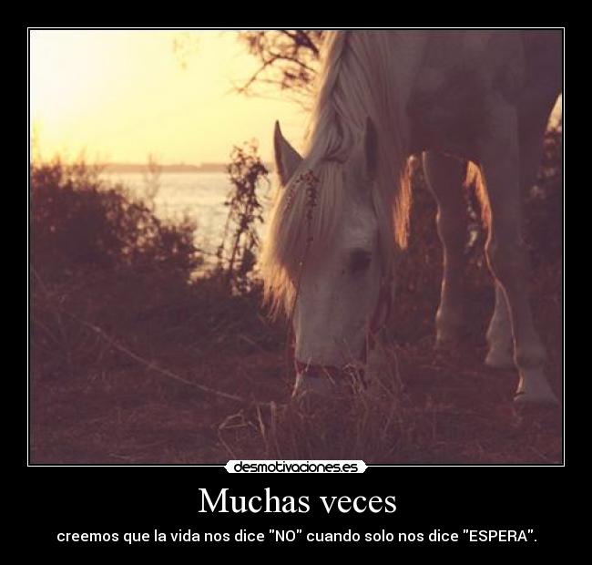 Muchas veces - 