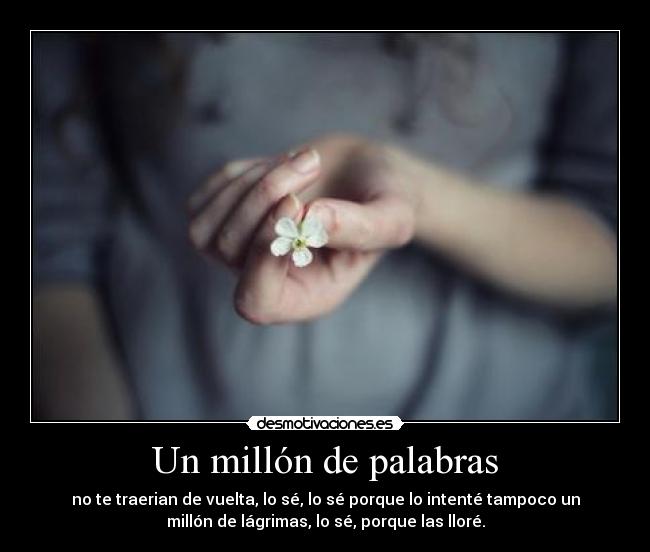 Un millón de palabras - no te traerian de vuelta, lo sé, lo sé porque lo intenté tampoco un
millón de lágrimas, lo sé, porque las lloré.