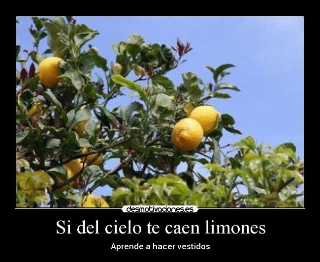 Si del cielo te caen limones -