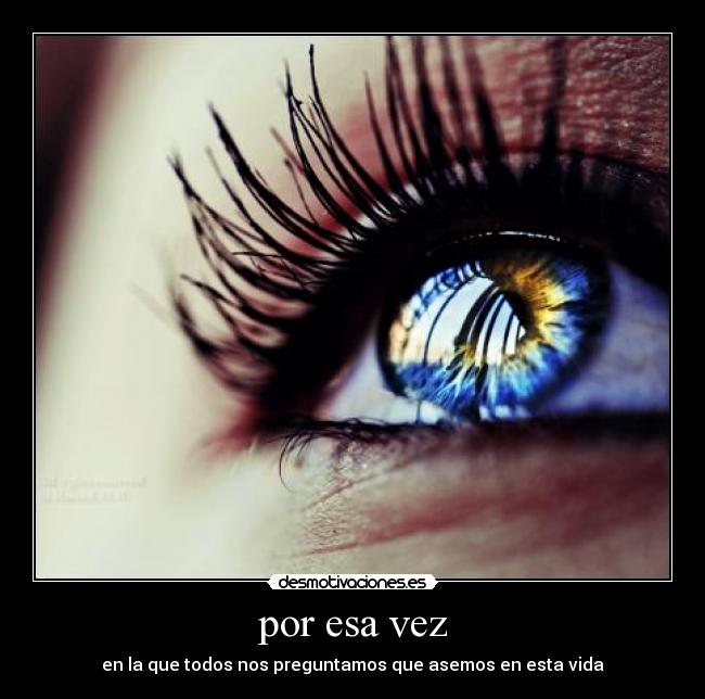 por esa vez - en la que todos nos preguntamos que asemos en esta vida