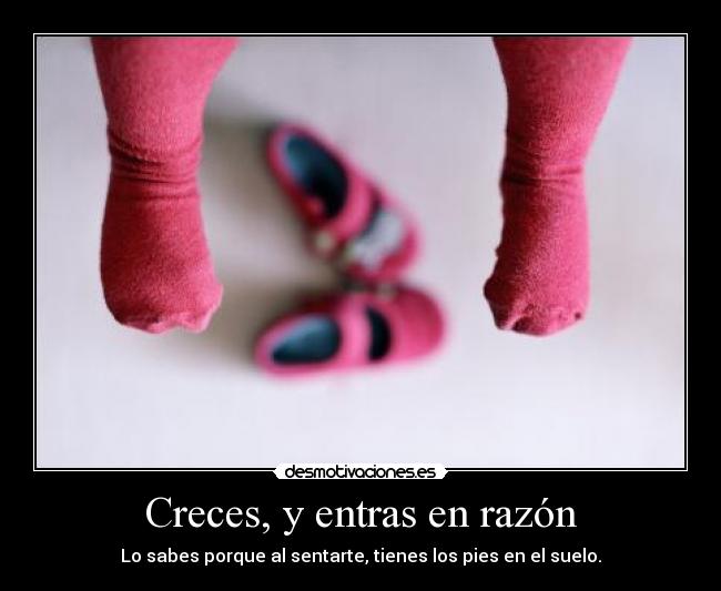 carteles las ardillas molan pero ladybeautiulll mejor que cualquier ardilla desmotivaciones