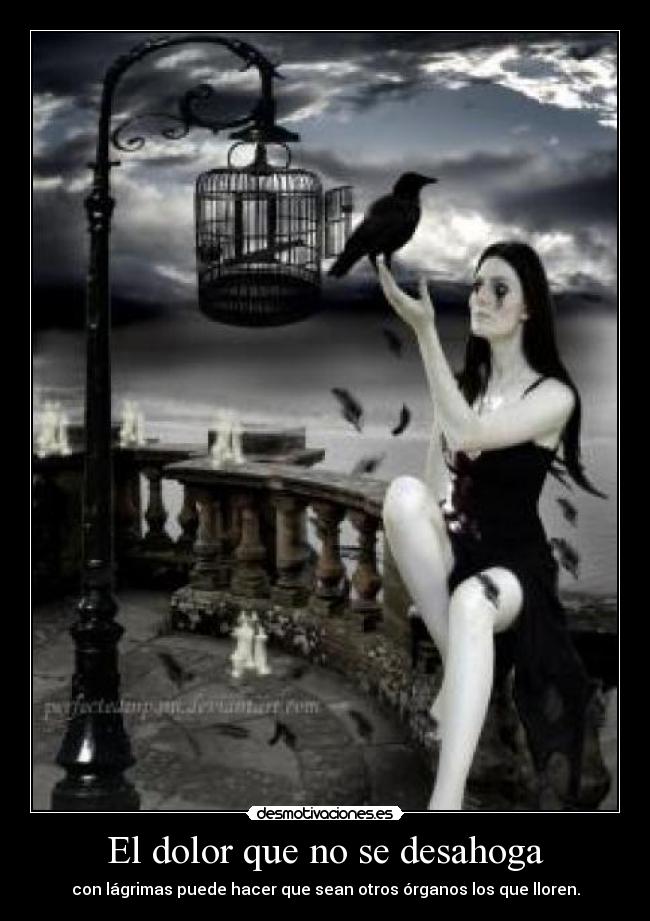 carteles dolor senor las desmotivaciones desmotivaciones