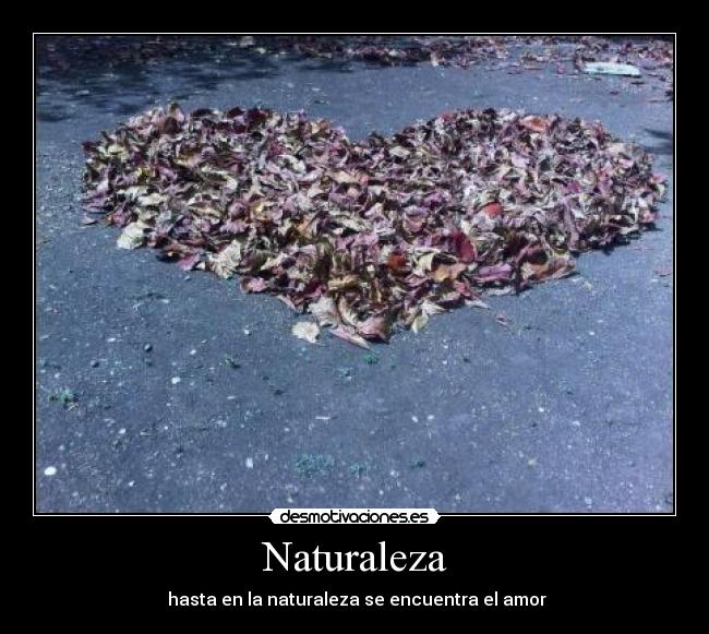 Naturaleza -