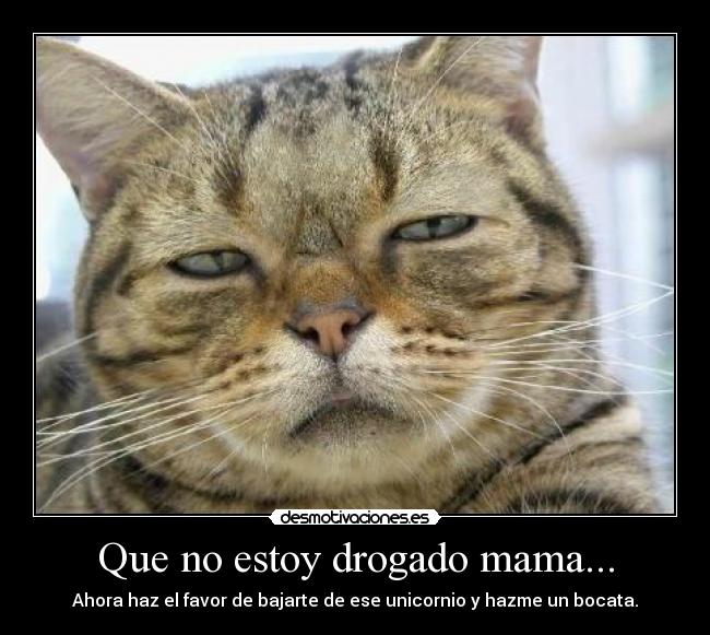 Que no estoy drogado mama... - Ahora haz el favor de bajarte de ese unicornio y hazme un bocata.
