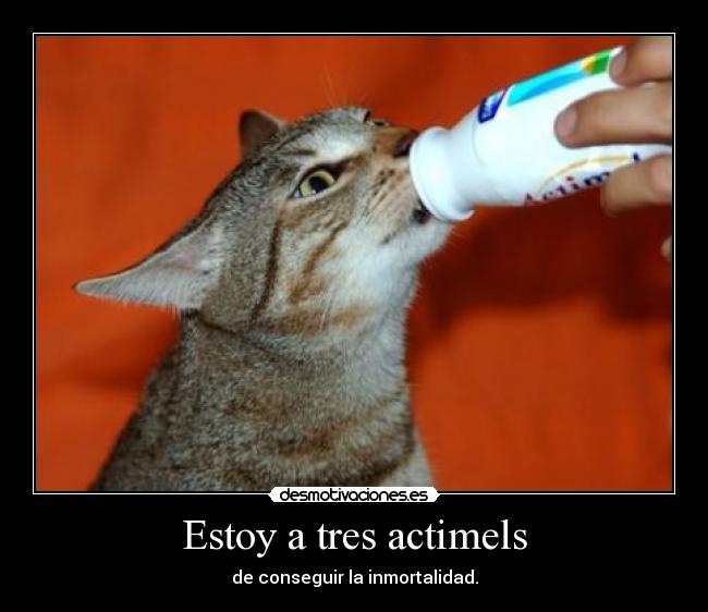 Estoy a tres actimels - de conseguir la inmortalidad.