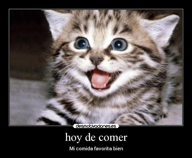 hoy de comer - Mi comida favorita bien