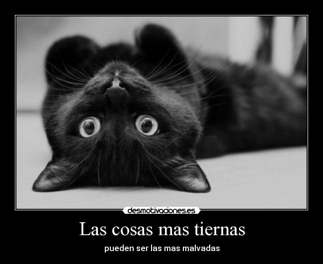 Las cosas mas tiernas - pueden ser las mas malvadas