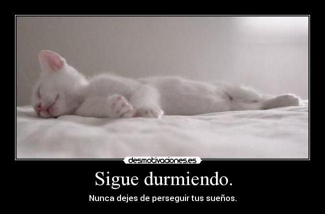 Sigue durmiendo. - Nunca dejes de perseguir tus sueños.