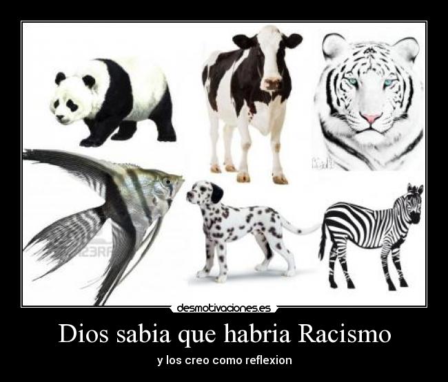 Dios sabia que habria Racismo -
