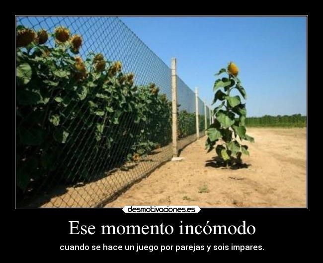 Ese momento incómodo -
