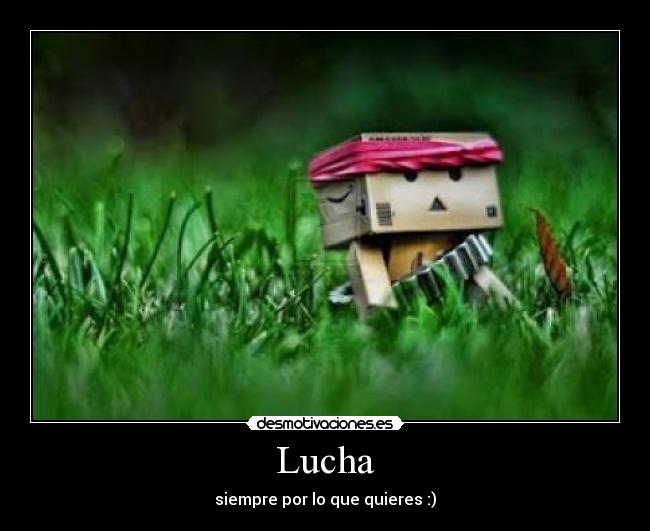 Lucha -