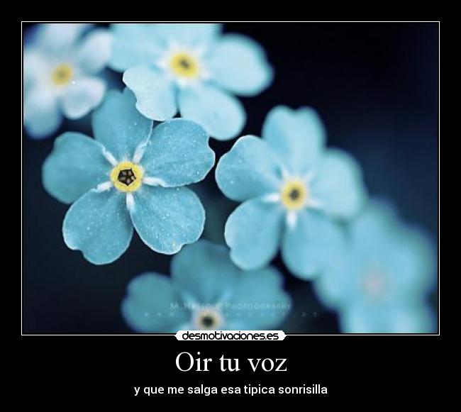 Oir tu voz - y que me salga esa tipica sonrisilla