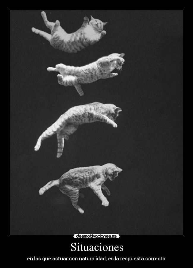 Situaciones - en las que actuar con naturalidad, es la respuesta correcta.