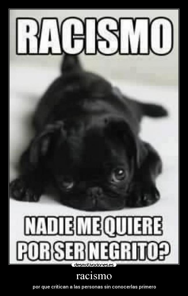 racismo - por que critican a las personas sin conocerlas primero