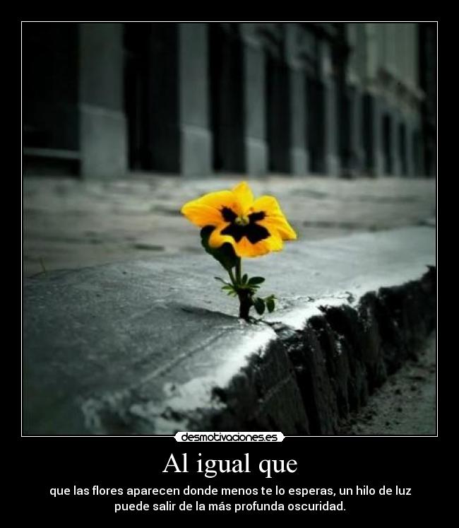 Al igual que - que las flores aparecen donde menos te lo esperas, un hilo de luz
puede salir de la más profunda oscuridad.